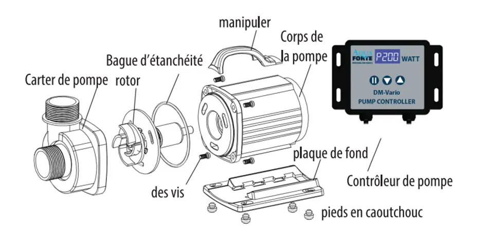 pompe-demontée-dm.webp