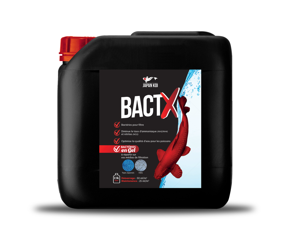 BactX 2,5L (pour 50m3)