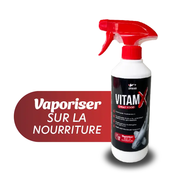 VitamX 500ml - Japan Koi Products - Vitamines pour nourritures en spray