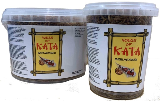 Meelwormen - House of Kata (Vers de farine)